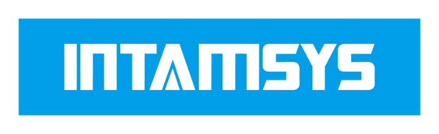 Intamsys