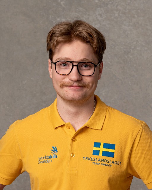 Portrait of EDVIN SANDSTRÖM