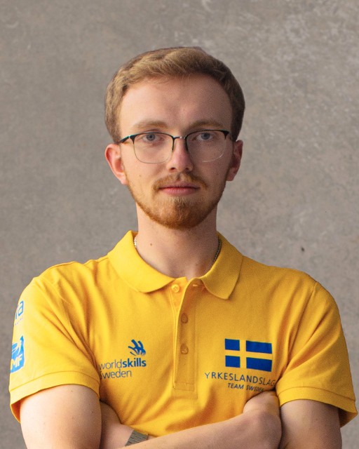 Portrait of ROBIN JOHANSSON
