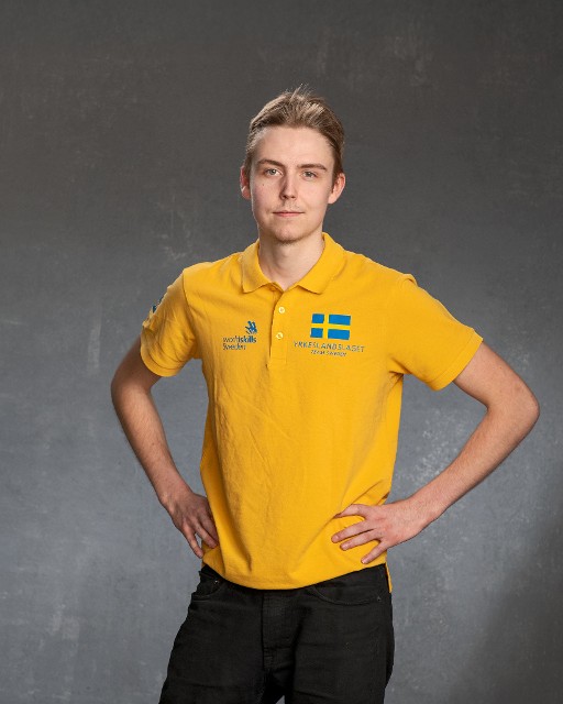 Portrait of NILS HOLM