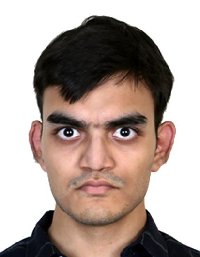 Portrait of Abhin Mittal